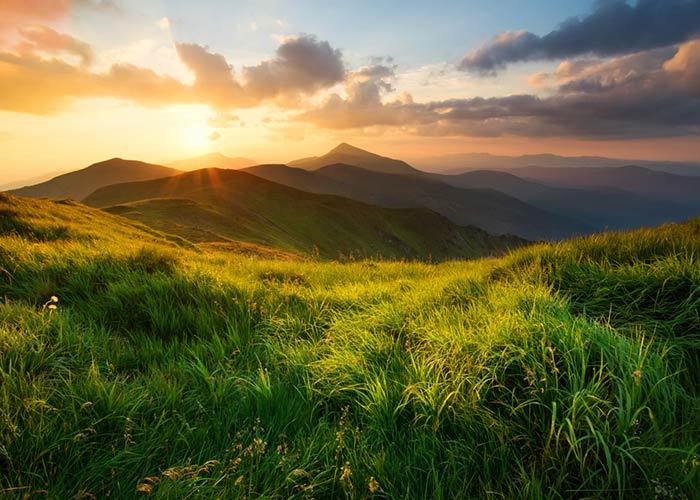 This is the image of the Nature's Blog